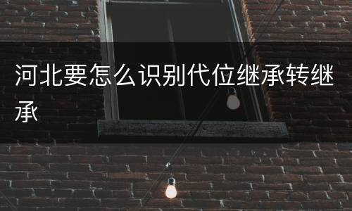 河北要怎么识别代位继承转继承