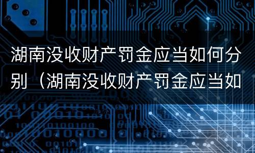 湖南没收财产罚金应当如何分别（湖南没收财产罚金应当如何分别处罚）