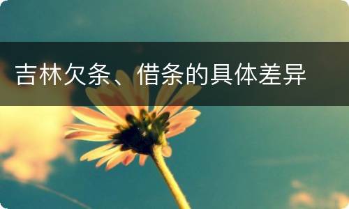 吉林欠条、借条的具体差异
