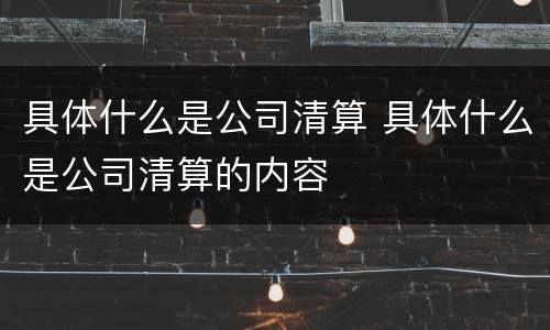 具体什么是公司清算 具体什么是公司清算的内容