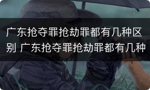 广东抢夺罪抢劫罪都有几种区别 广东抢夺罪抢劫罪都有几种区别呢