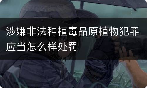 涉嫌非法种植毒品原植物犯罪应当怎么样处罚
