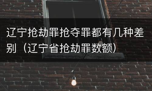 辽宁抢劫罪抢夺罪都有几种差别（辽宁省抢劫罪数额）