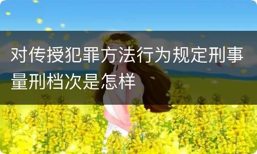 对传授犯罪方法行为规定刑事量刑档次是怎样