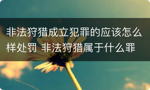非法狩猎成立犯罪的应该怎么样处罚 非法狩猎属于什么罪