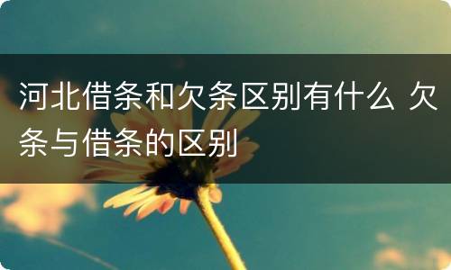 河北借条和欠条区别有什么 欠条与借条的区别