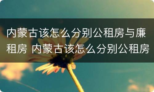 内蒙古该怎么分别公租房与廉租房 内蒙古该怎么分别公租房与廉租房的区别