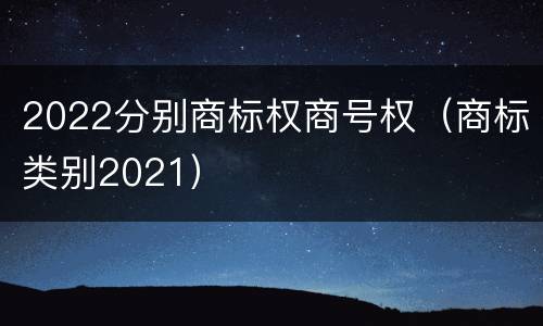 2022分别商标权商号权（商标类别2021）