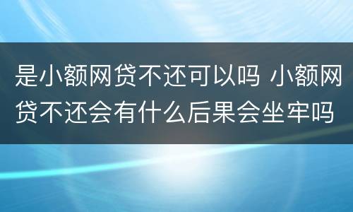 是小额网贷不还可以吗 小额网贷不还会有什么后果会坐牢吗