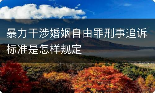 暴力干涉婚姻自由罪刑事追诉标准是怎样规定