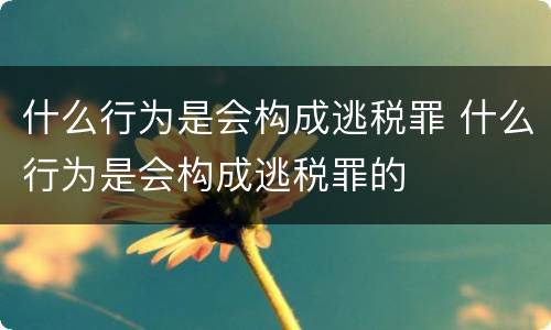 什么行为是会构成逃税罪 什么行为是会构成逃税罪的