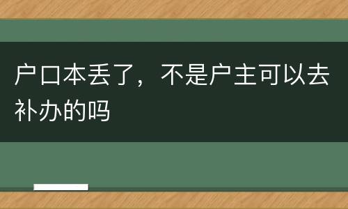 户口本丢了，不是户主可以去补办的吗