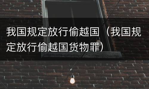 我国规定放行偷越国（我国规定放行偷越国货物罪）