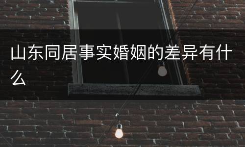 山东同居事实婚姻的差异有什么