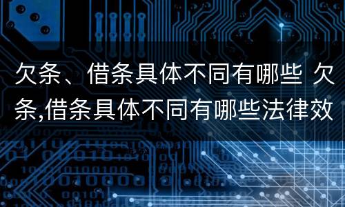 欠条、借条具体不同有哪些 欠条,借条具体不同有哪些法律效力