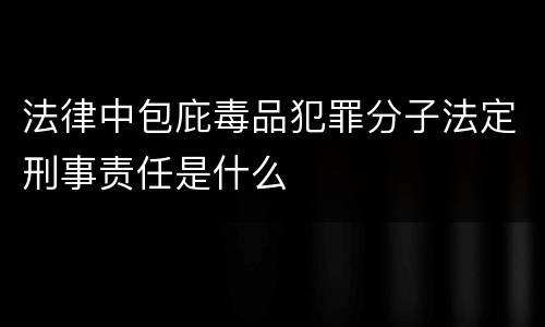 法律中包庇毒品犯罪分子法定刑事责任是什么