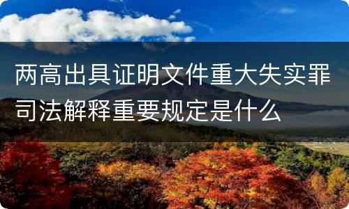 两高出具证明文件重大失实罪司法解释重要规定是什么