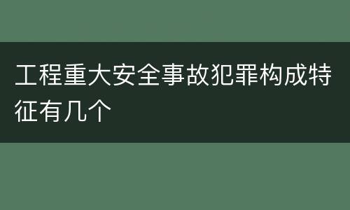 工程重大安全事故犯罪构成特征有几个