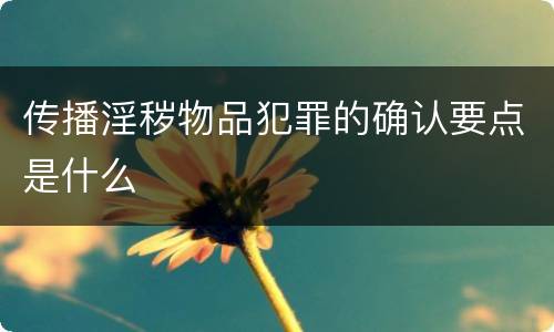 传播淫秽物品犯罪的确认要点是什么