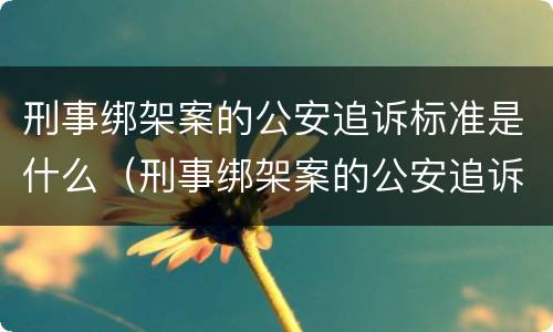 刑事绑架案的公安追诉标准是什么（刑事绑架案的公安追诉标准是什么呢）