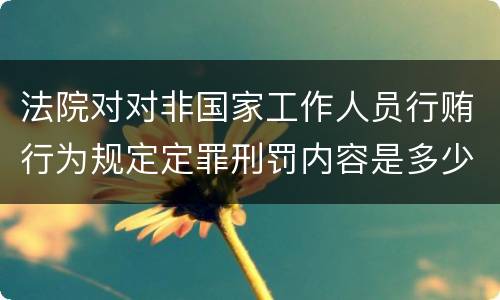 法院对对非国家工作人员行贿行为规定定罪刑罚内容是多少