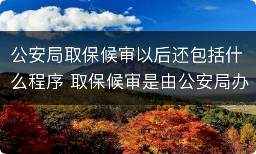公安局取保候审以后还包括什么程序 取保候审是由公安局办理吗