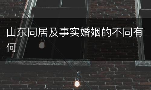 山东同居及事实婚姻的不同有何