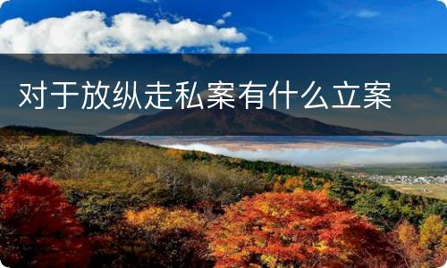 对于放纵走私案有什么立案