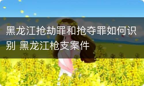 黑龙江抢劫罪和抢夺罪如何识别 黑龙江枪支案件