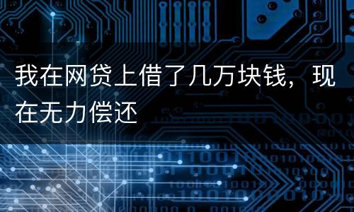 我在网贷上借了几万块钱，现在无力偿还
