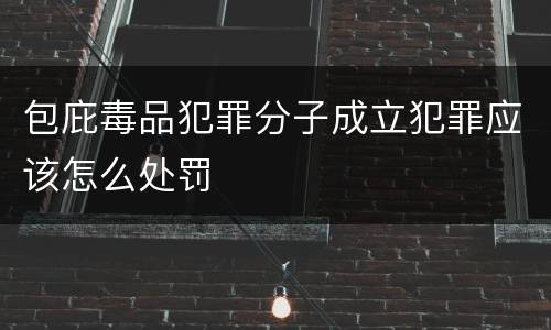 包庇毒品犯罪分子成立犯罪应该怎么处罚
