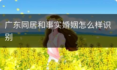 广东同居和事实婚姻怎么样识别