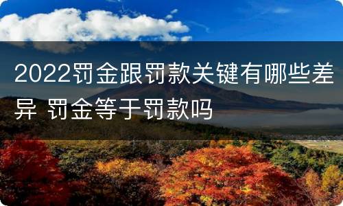 2022罚金跟罚款关键有哪些差异 罚金等于罚款吗