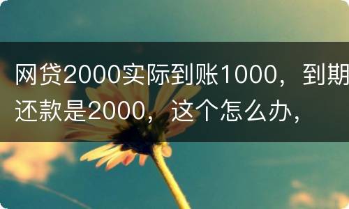 网贷2000实际到账1000，到期还款是2000，这个怎么办，
