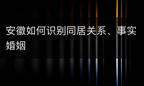 安徽如何识别同居关系、事实婚姻