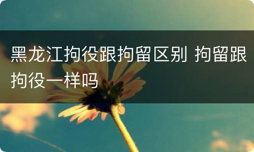 黑龙江拘役跟拘留区别 拘留跟拘役一样吗