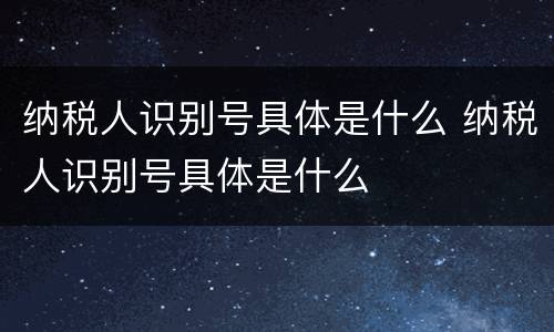 纳税人识别号具体是什么 纳税人识别号具体是什么