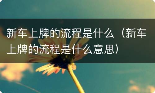 新车上牌的流程是什么（新车上牌的流程是什么意思）
