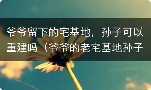 爷爷留下的宅基地，孙子可以重建吗（爷爷的老宅基地孙子有继承权吗）