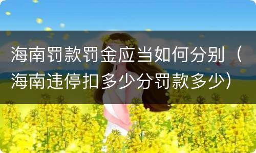 海南罚款罚金应当如何分别（海南违停扣多少分罚款多少）