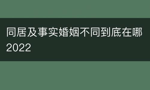 同居及事实婚姻不同到底在哪2022