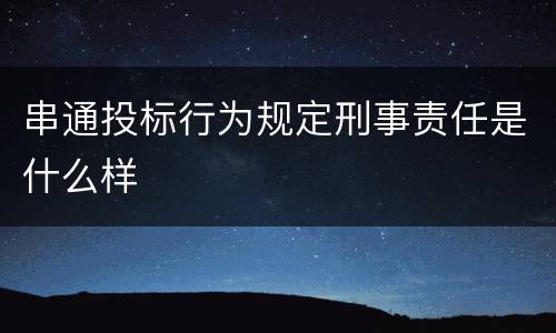 串通投标行为规定刑事责任是什么样
