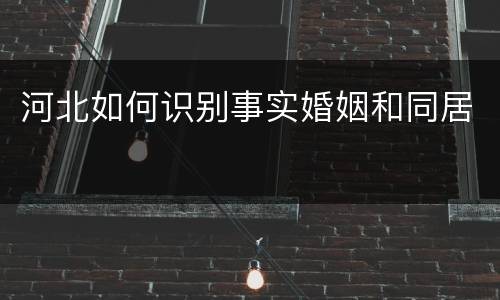 河北如何识别事实婚姻和同居