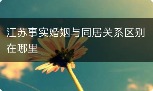 江苏事实婚姻与同居关系区别在哪里