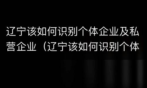 辽宁该如何识别个体企业及私营企业（辽宁该如何识别个体企业及私营企业名称）