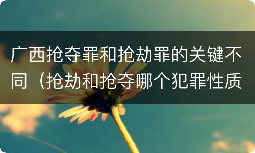 广西抢夺罪和抢劫罪的关键不同（抢劫和抢夺哪个犯罪性质严重）