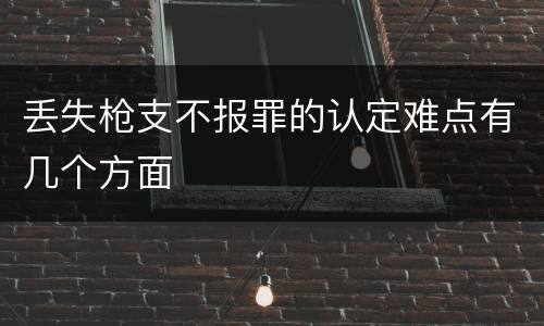 丢失枪支不报罪的认定难点有几个方面