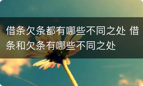借条欠条都有哪些不同之处 借条和欠条有哪些不同之处