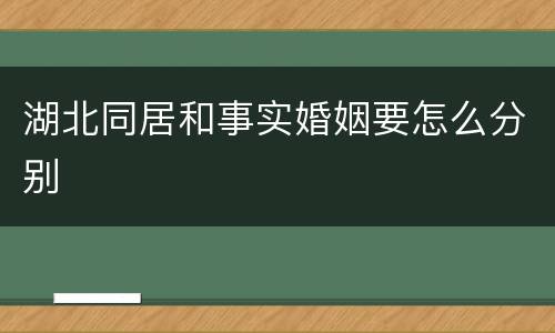 湖北同居和事实婚姻要怎么分别