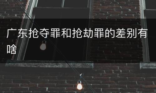 广东抢夺罪和抢劫罪的差别有啥